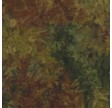Batik Bagside stof : North Country Trail Batiks 108"