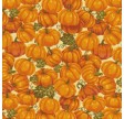 Harvest Time : pumpkins