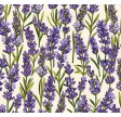 Lavender Market : Blomster