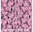 Flamingo Fantastico : Sort