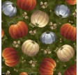 Harvest Elegance : Græskar - Grøn