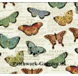 Bookshelf Botanical : Sommerfugle