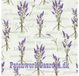 Lavender Story : Lavendel bundter