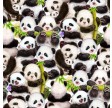 Panda Sanctuary - Packed Panda - Digital print