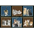 Counting Kittens : Store billeder