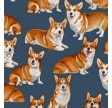 Pure Breed : Corgies