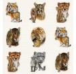 Big Cats