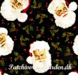 Santa Claus : Julemands ansigter