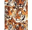 Tigers : Tiger ansigter.