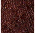 Batik : Bombay Brown