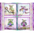 Boho Owls : Panel