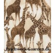 Wild : Giraffer